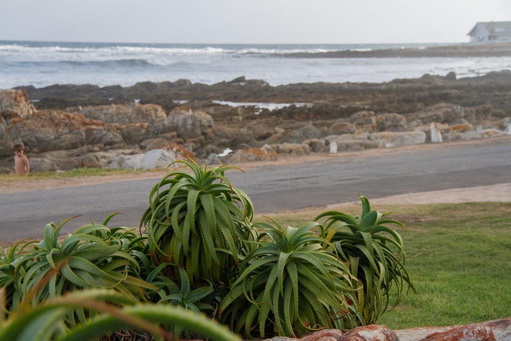 Little Rock Guesthouse Groot-Jongensfontein Buitenkant foto